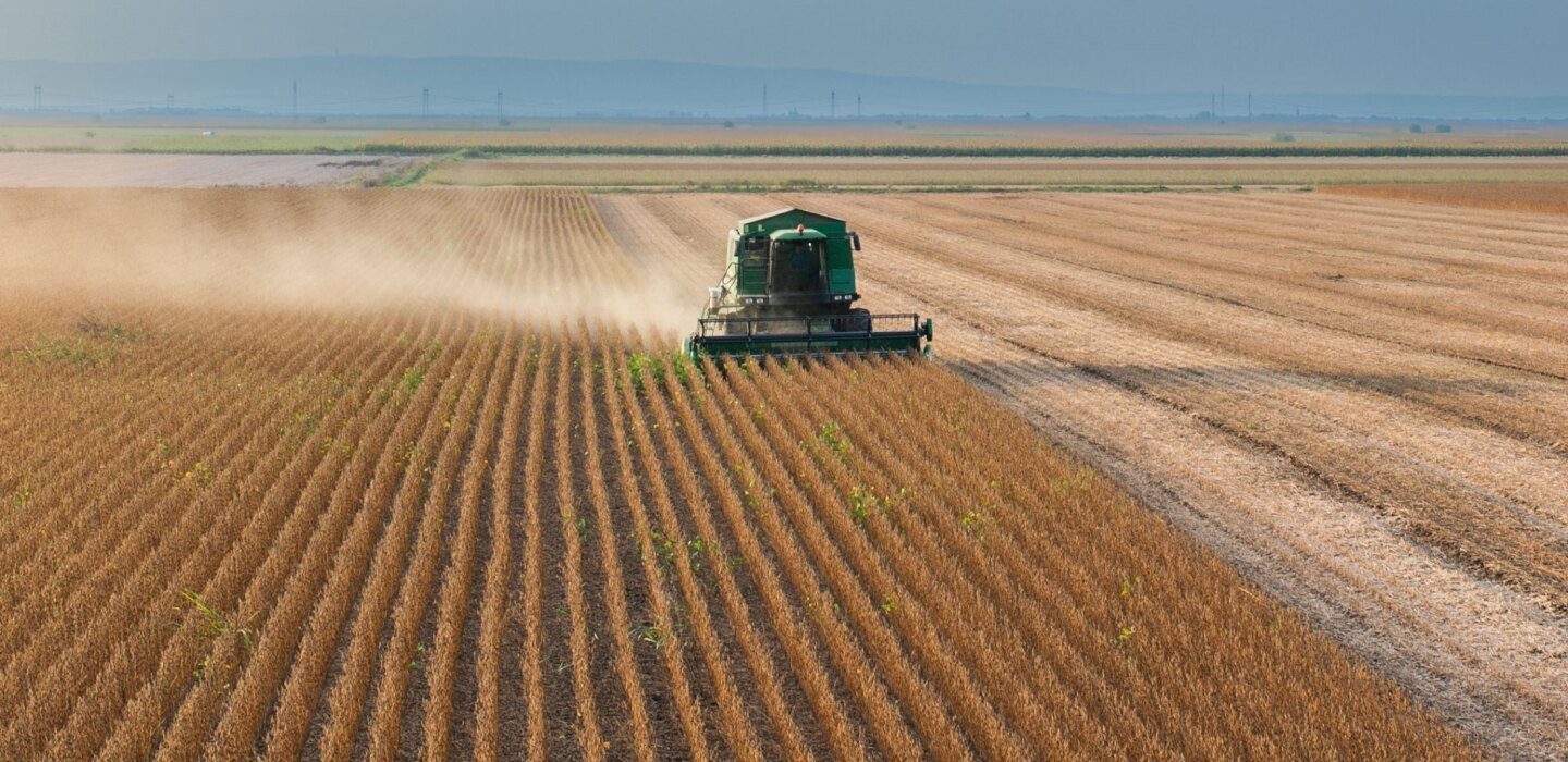Harvest on Uruguayan cropland