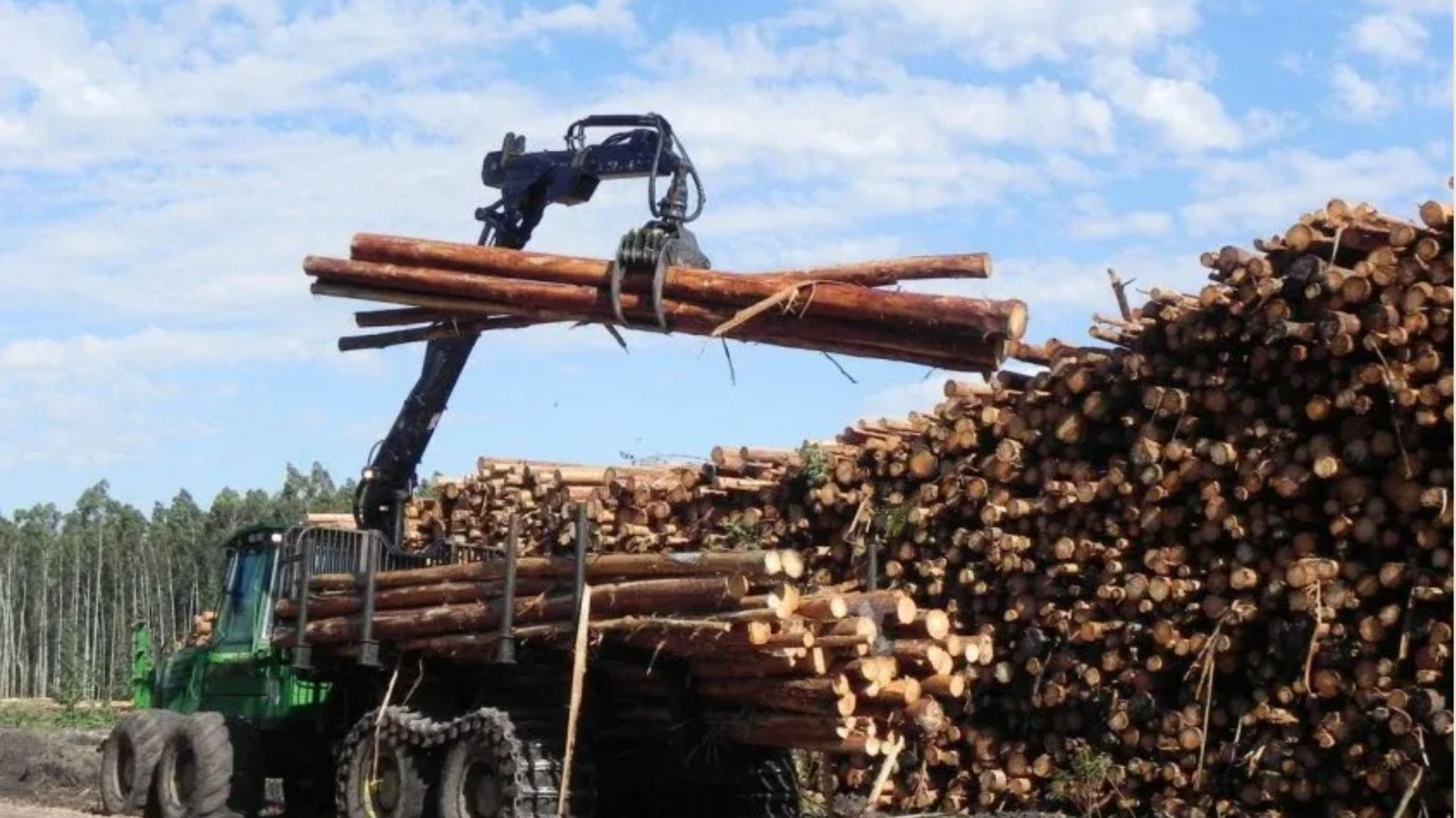 Modell B – Ertragsabhängige Verpachtung