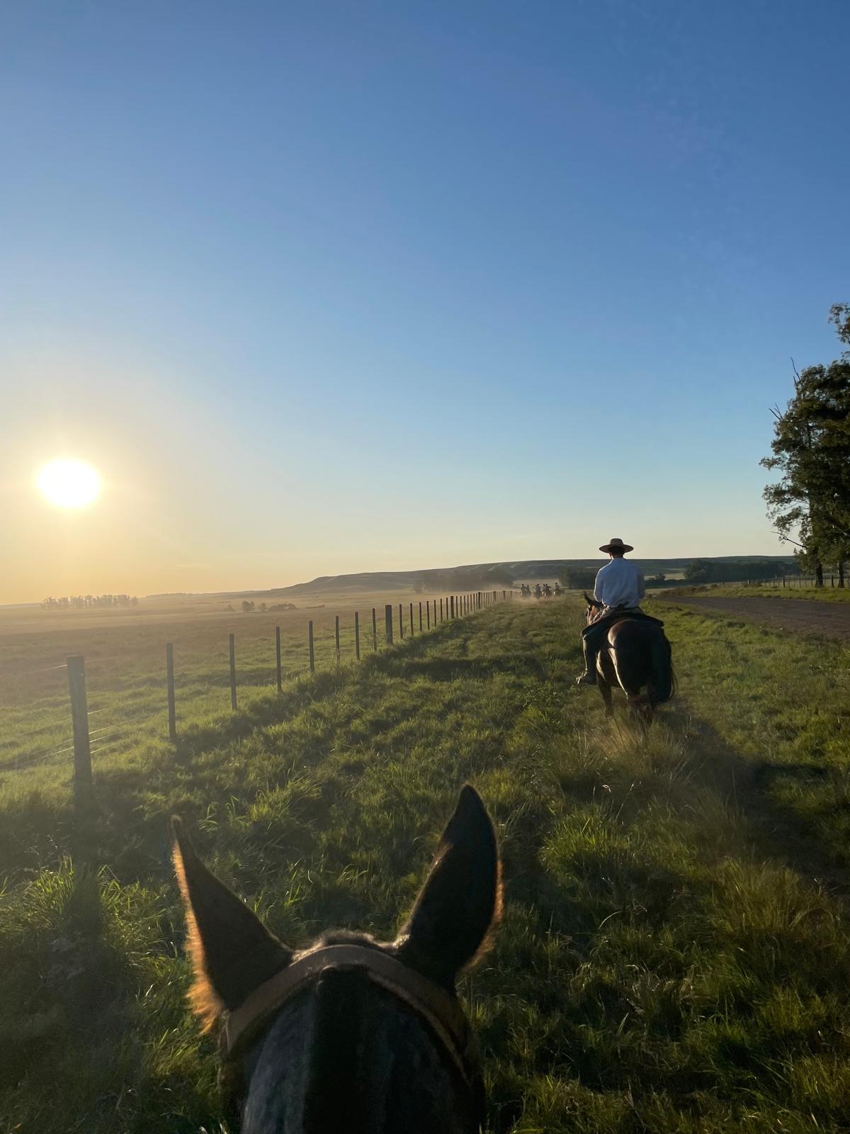Uruguay – Gaucho bei Sonnenaufgang