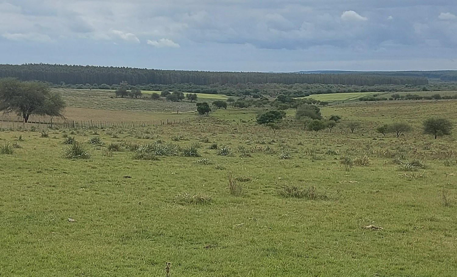 Diversifiziertes Landinvestment – Paysandú