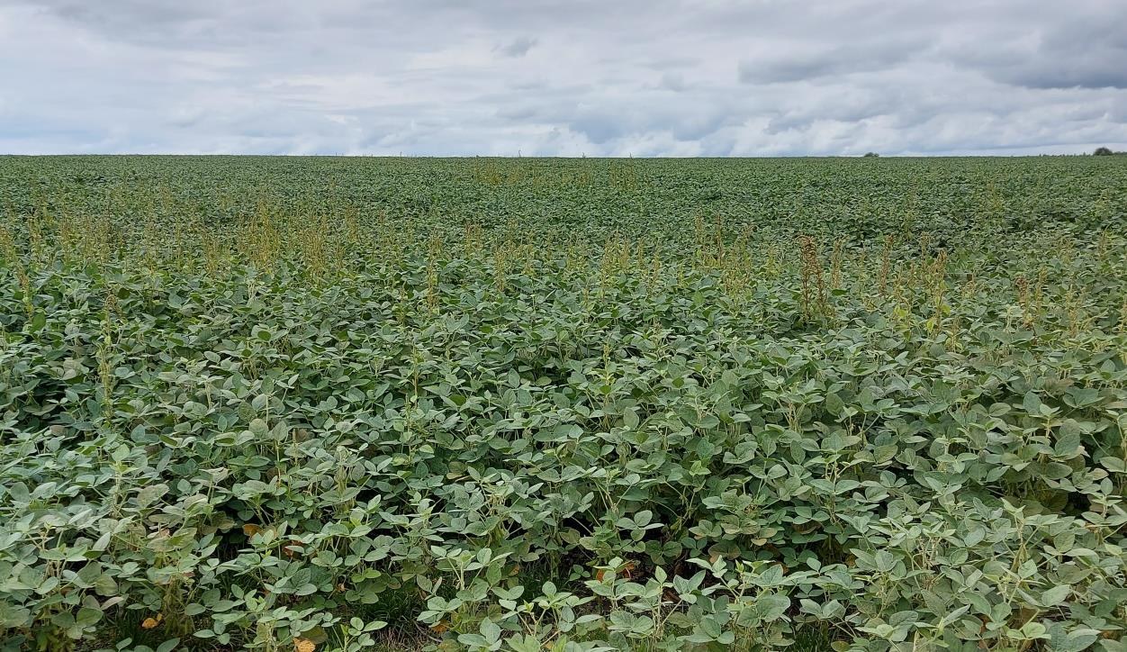 Ackerflächen · ca. 200 ha