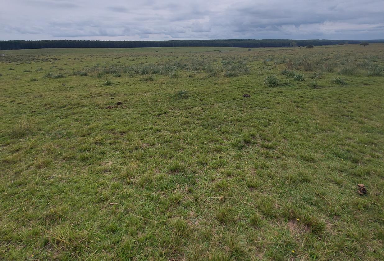 Weidefläche · ca. 200 ha