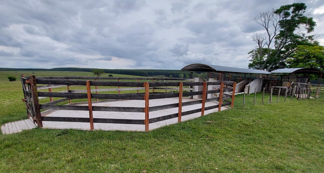 Operative Infrastruktur · Cattle Yard